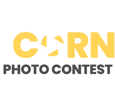 Fields-of-Corn