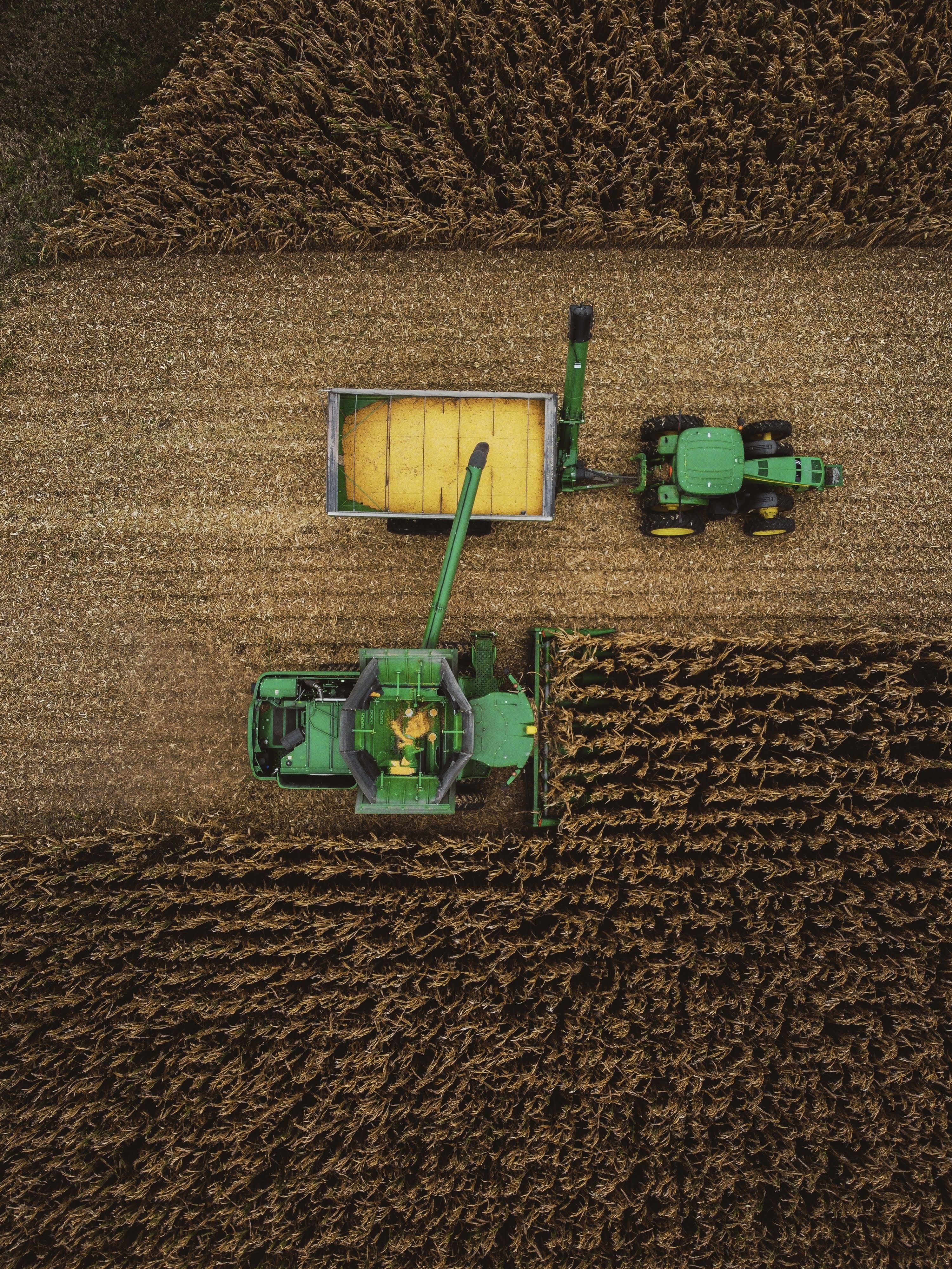 DJI_0580.jpg